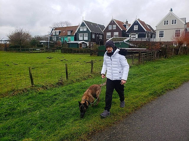 Rocky participe au concours pour gagner de l'argent avec cette photo : asphalt, building, carnivore, cloud, companion_dog, dog_breed, dog_sports, fence, grass, grassland, house, land_lot, landscape, pasture, plant, prairie, rural_area, sky, window, working_animal