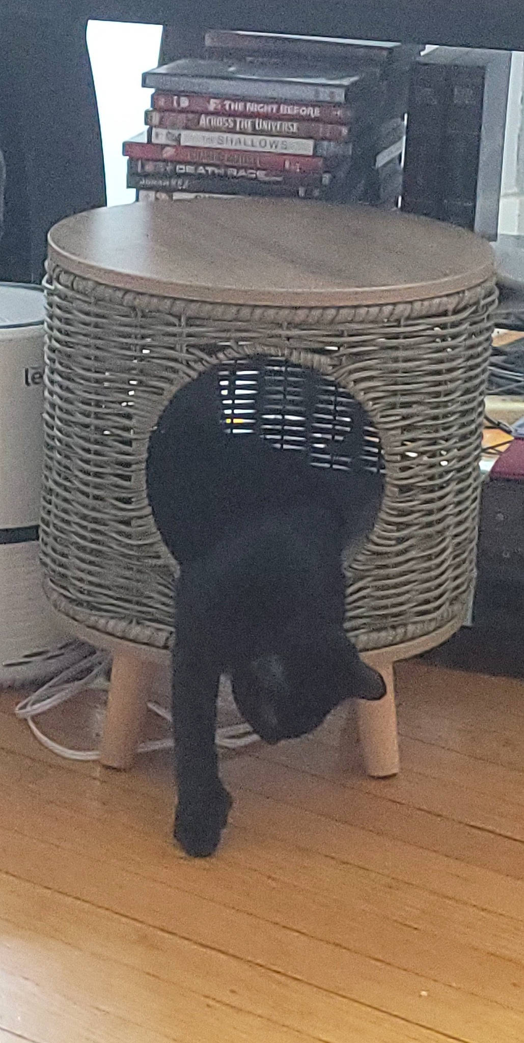 Ash is registered to the contest to win money with this photo: audio_equipment, auto_part, automotive_tire, black, floor, flooring, font, fur, gas, hardwood, home_appliance, laminate_flooring, metal, pattern, rectangle, room, tail, terrestrial_animal, wood, wood_flooring