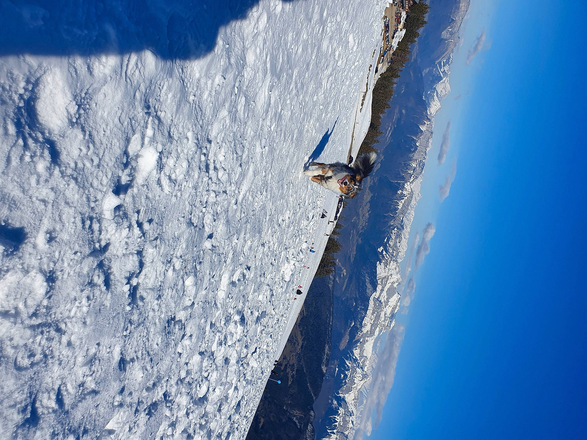 Poppy a rejoint le concours — aidez-le/la à gagner de superbes lots ! atmosphere, azure, daytime, electric_blue, formation, freezing, geological_phenomenon, glacial_landform, ice_cap, landscape, massif, mountain, mountain_range, recreation, sky, slope, snow, terrain, winter, winter_sport