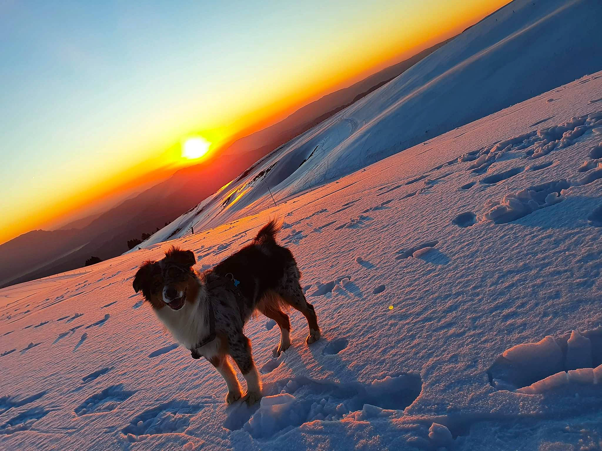 Poppy participe au concours pour gagner de l'argent avec cette photo : aeolian_landform, cloud, dusk, freezing, glacial_landform, happy, horizon, ice_cap, landscape, leisure, outdoor_recreation, people_in_nature, recreation, sky, slope, snow, sunlight, sunrise, sunset, tree