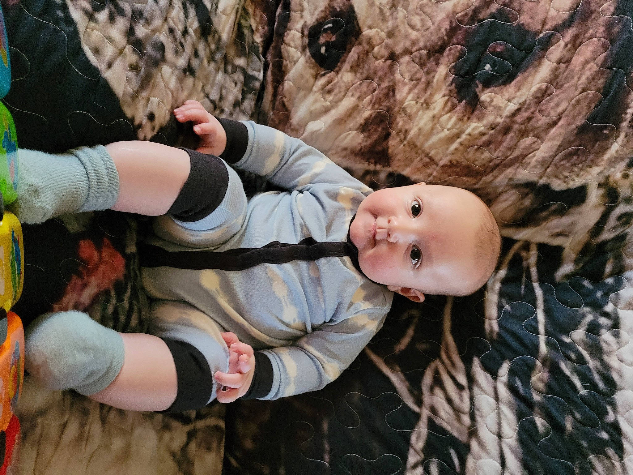 Hank joined the competition — help win amazing prizes! baby, child, doll, eye, fun, fur, gesture, grass, hand, happy, leisure, mammal, person, plant, stuffed_toy, teddy_bear, toddler, toy, tree, vertebrate