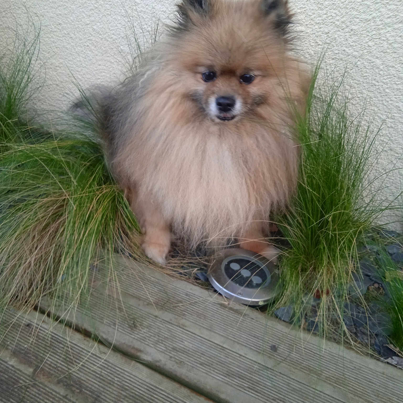 Julio