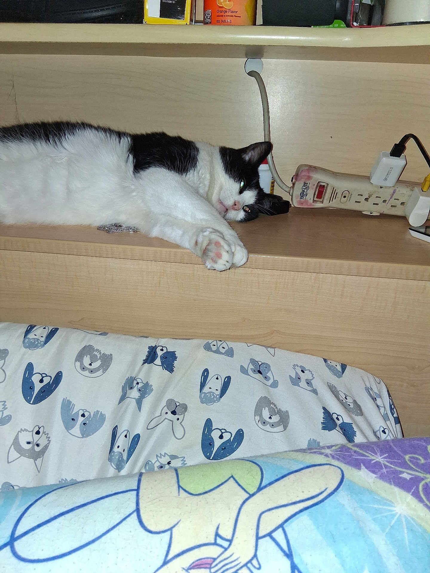 Mr.big is registered to the contest to win money with this photo: cat, black_and_white, shelf, bed, blanket, cartoon_print, animal_print, power_strip, relaxed, indoor, furniture, wood, sleepy, pet, domestic, household_items, resting, lying_down, close_up, cozy
