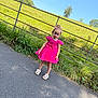 Erika is registered to the contest to win money with this photo: blue_sky, casual, child, curious, daylight, fashion, footwear, girl, grass, greenery, hill, metal_rail, nature, outdoor, path, pink_dress, portrait, standing, sunny, young