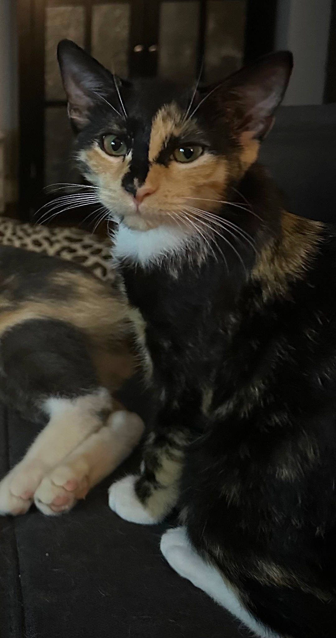 Coría