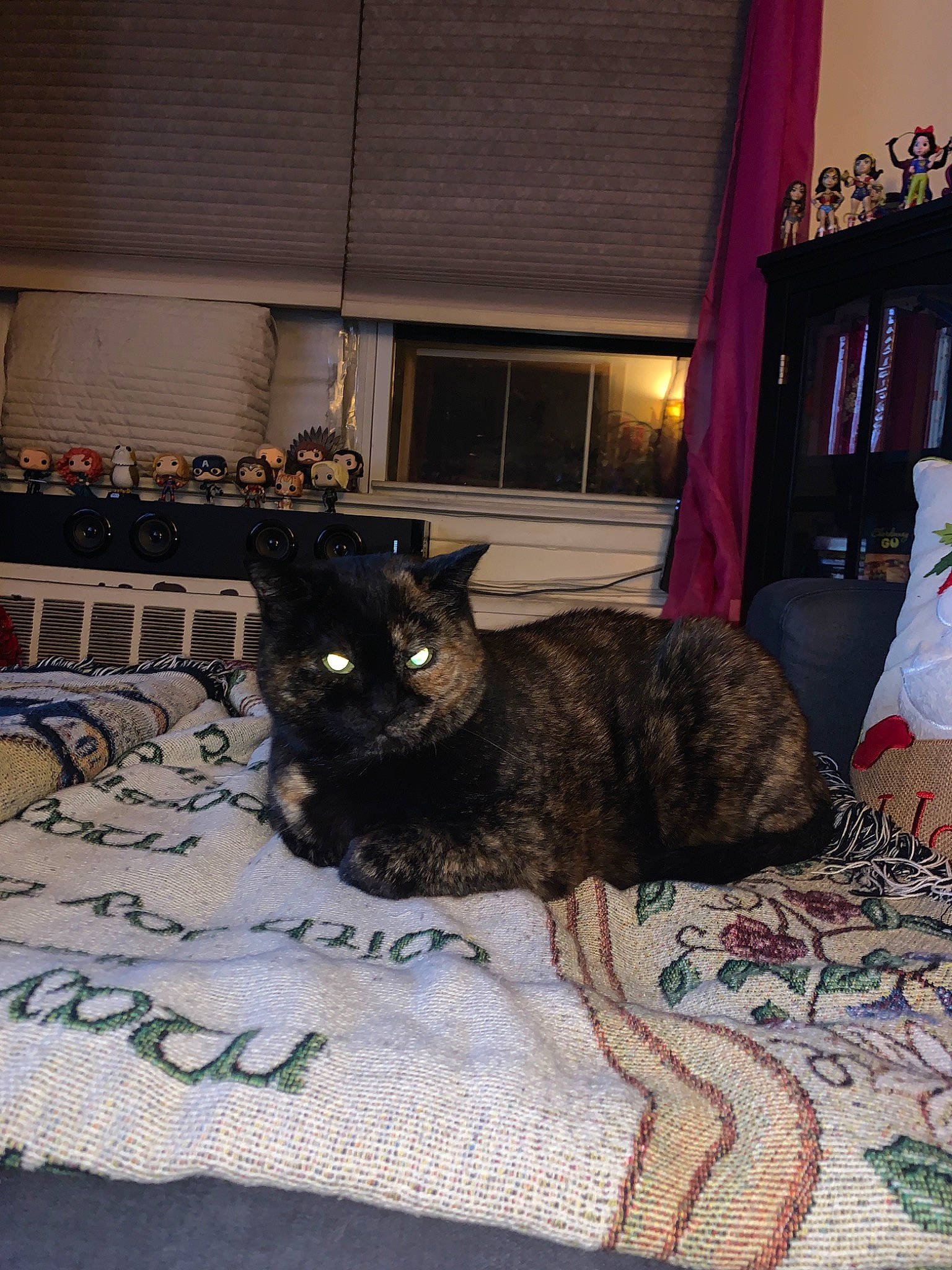 Harvie Dent joined the competition — help win amazing prizes! black_cat, canidae, carnivore, cat, dog_breed, felidae, floor, fur, room, small_to_medium_sized_cats, tail, whiskers