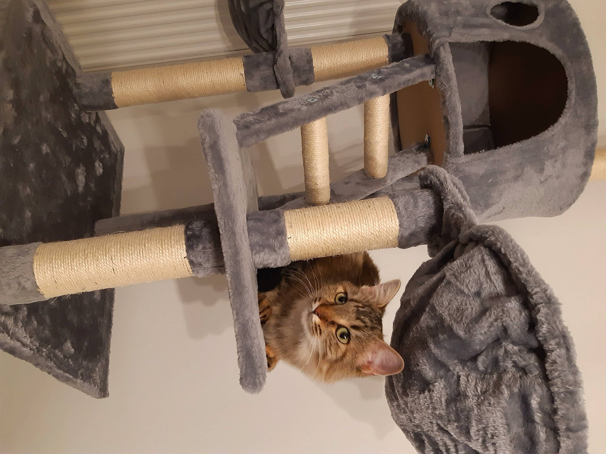 Tora participe au concours pour gagner de l'argent avec cette photo : art, artifact, auto_part, engineering, hardwood, machine, metal, natural_material, nut, pipe, plumbing, rope, tool, visual_arts, wood