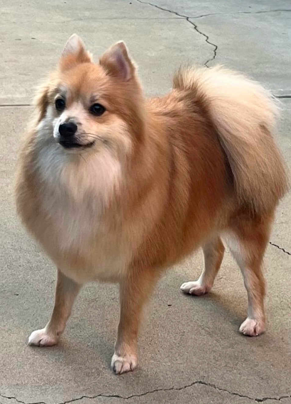 Milo