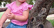 Raelynn is registered to the contest to win money with this photo: child, girl, smiling, pink_shirt, jeans, blonde_hair, portrait, outdoor, tree, tree_climbing, park, nature, leaves, branches, sitting, happy, playful, daylight, closeup, family_photo