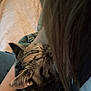 Stormie is registered to the contest to win money with this photo: cat, tabby, pet, person, hair, arm, bracelet, indoor, cozy, comfort, closeup, feline, resting, snuggle, warm, blurred_background, human, affection, love, relaxation