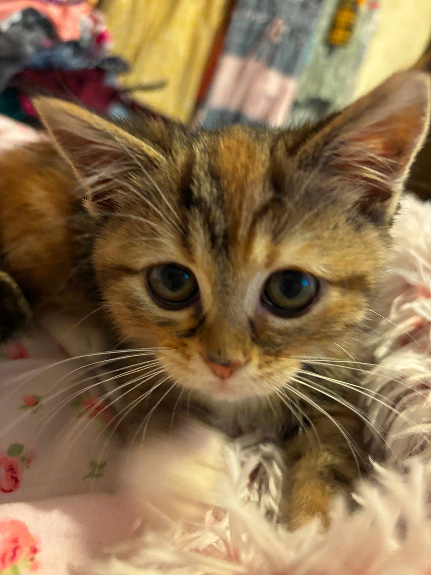 Stormie