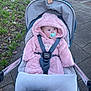 Phoebe is registered to the contest to win money with this photo: baby, child, stroller, pacifier, pink_clothing, hooded_jacket, outdoor, sidewalk, grass, winter_clothing, cute, infant, bundle, seatbelt, baby_gear, pavement, nature, walking, portrait, cold_weather