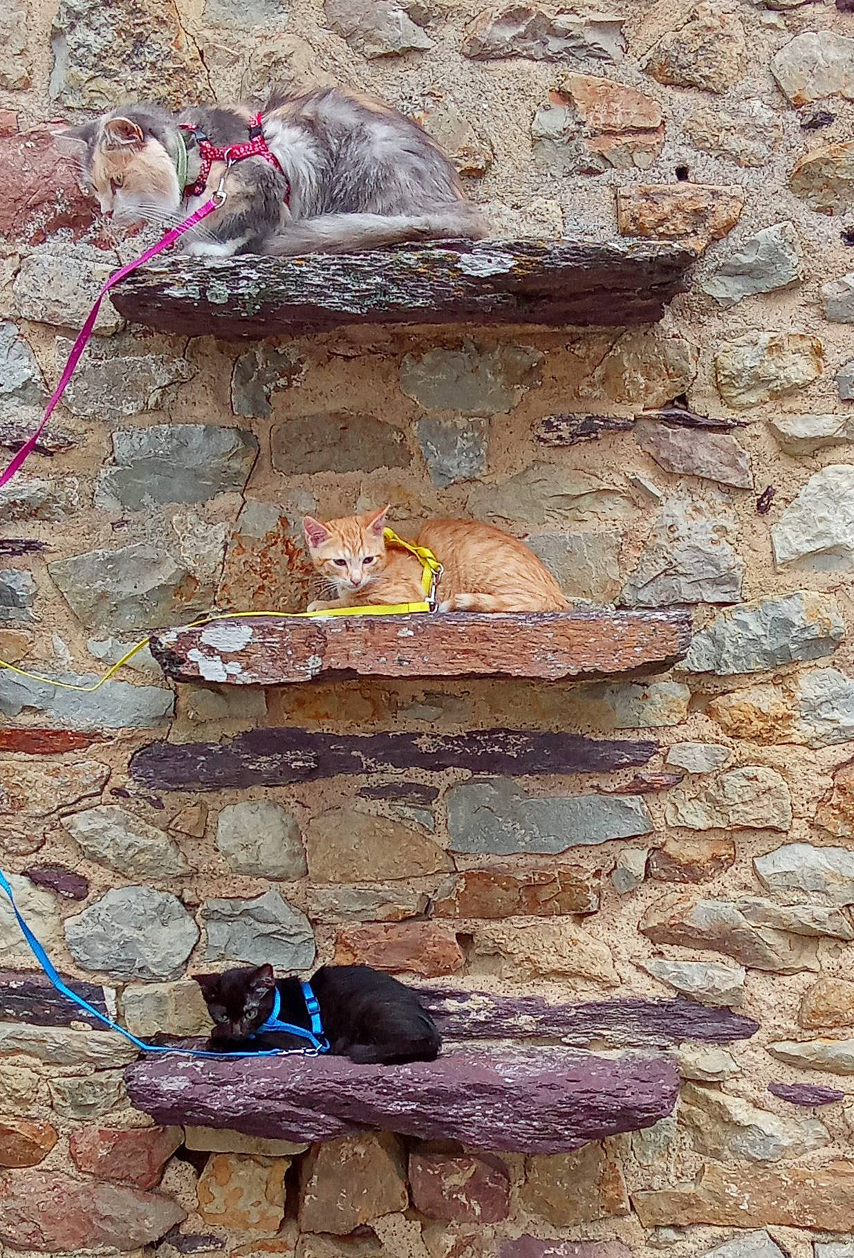 Angie participe au concours pour gagner de l'argent avec cette photo : ancient_history, art, bedrock, brick, brickwork, cobblestone, concrete, facade, rock, shadow, soil, stone_wall, visual_arts, wood