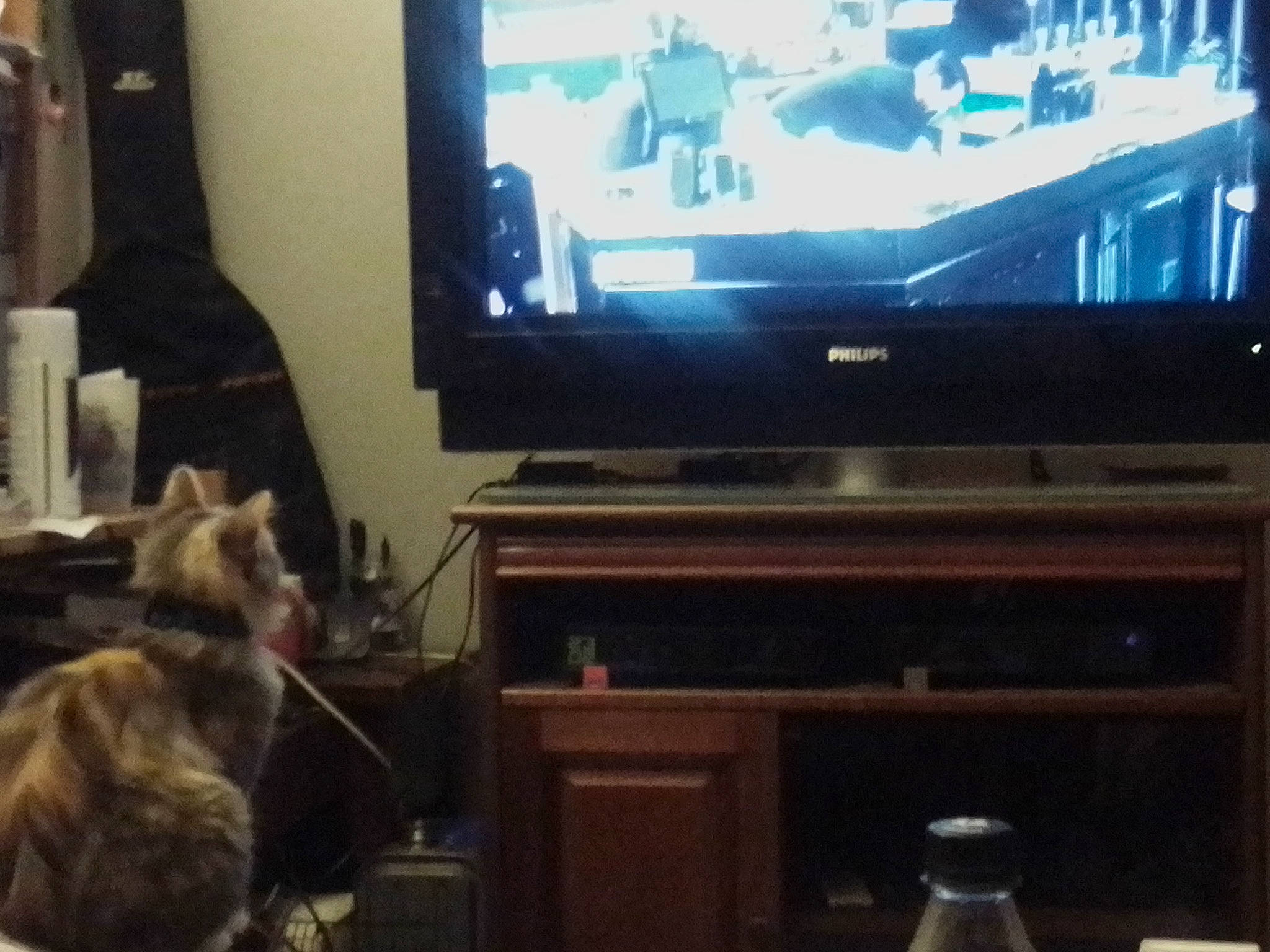 India a rejoint le concours — aidez-le/la à gagner de superbes lots ! audio_equipment, cable_television, cat, companion_dog, computer_monitor_accessory, desktop_computer, display_device, electronic_device, entertainment, entertainment_center, flat_panel_display, gadget, home_appliance, living_room, multimedia, output_device, technology, television, television_set, wood