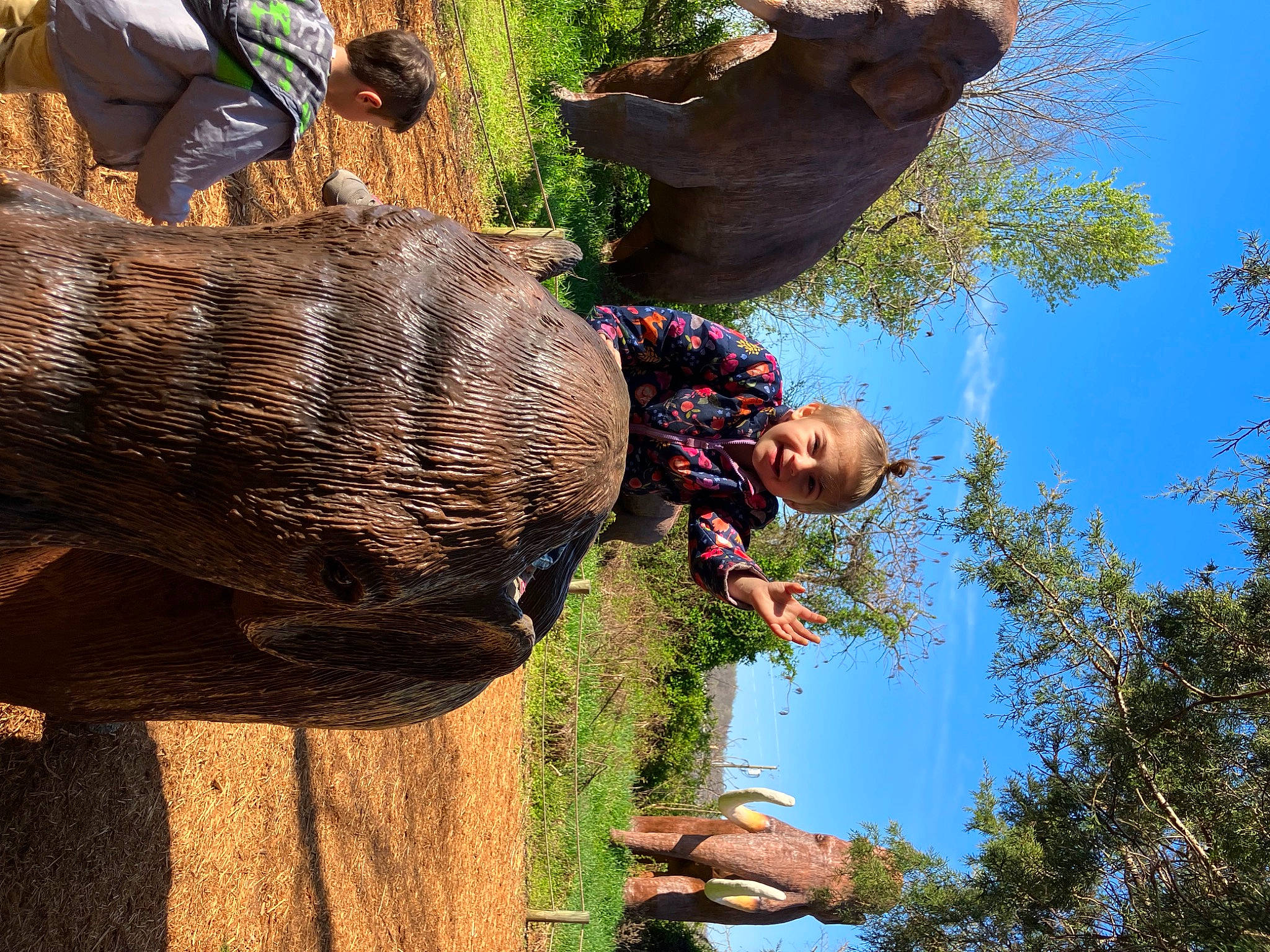 Azaria is registered to the contest to win money with this photo: adventure, art, botany, fun, grass, leisure, people_in_nature, person, plant, recreation, rock, sculpture, sky, terrestrial_animal, tree, trunk, wood, working_animal