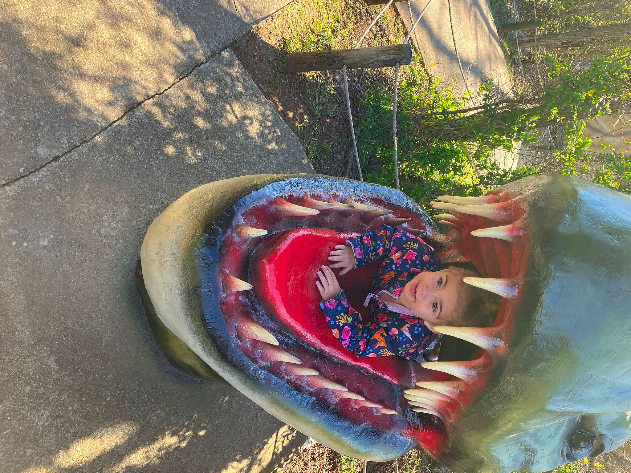 Azaria joined the competition — help win amazing prizes! art, asphalt, automotive_tire, automotive_wheel_system, carmine, circle, electric_blue, fashion_accessory, fun, grass, joy, landscape, leisure, pattern, person, plant, recreation, road_surface, tar, tints_and_shades