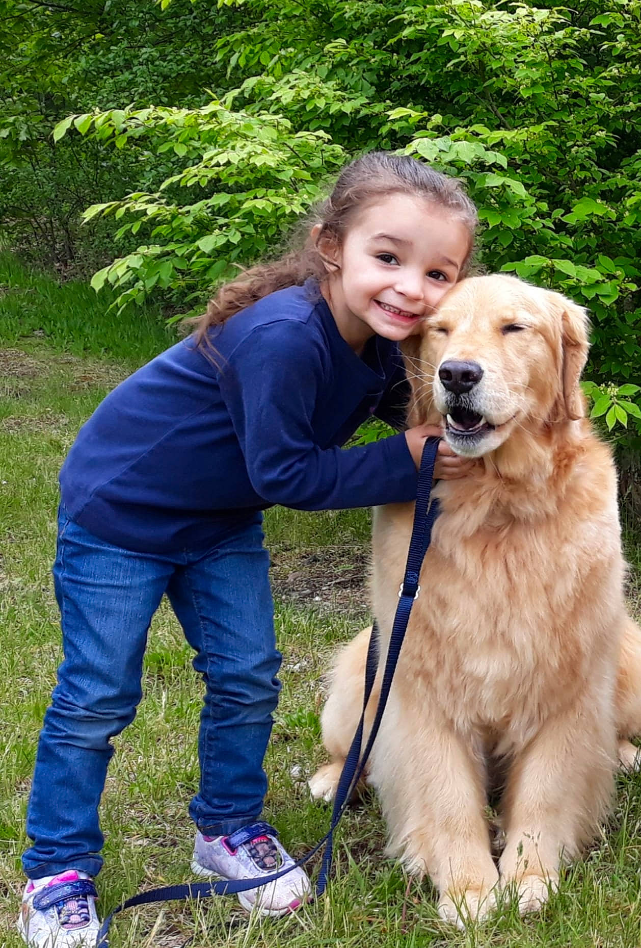 Talia joined the competition — help win amazing prizes! canidae, carnivore, companion_dog, dog, dog_breed, dog_walking, fawn, golden_retriever, grass, hovawart, joy, leash, mammal, obedience_training, person, retriever, sporting_group, vertebrate