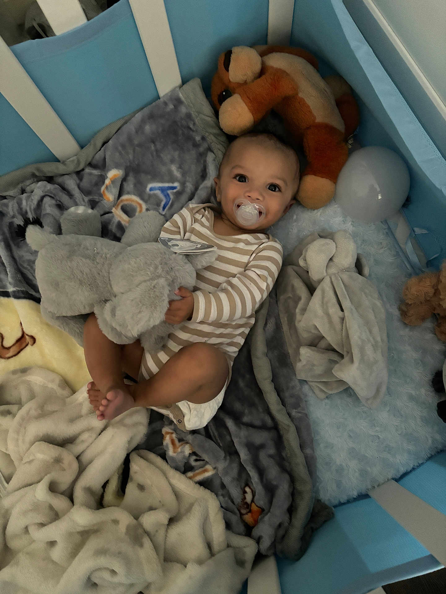 Jaylen joined the competition — help win amazing prizes! baby, pacifier, crib, blanket, plush_toy, stuffed_elephant, stuffed_animal, smiling, child, infant, sleeping_area, soft_toys, striped_clothing, blue_crib, cozy, cute, happy, indoor, toddler, person