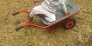 Jaylen is registered to the contest to win money with this photo: blue_box, boots, child, curly_hair, daylight, grass, ground, nature, outdoor, person, plastic_toys, play, recreation, red_handle, toddler, toy, wheelbarrow, white_clothing, yellow_toy, young_child
