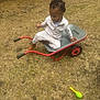 Jaylen is registered to the contest to win money with this photo: toddler, child, wheelbarrow, outdoor, grass, toy, play, curly_hair, white_clothing, boots, red_handle, yellow_toy, blue_box, plastic_toys, ground, daylight, person, young_child, nature, recreation