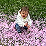 Joy participe au concours pour gagner de l'argent avec cette photo : child, crouching, cute, daylight, face, flower_petals, grass, greenery, happy, jeans, nature, outdoor, person, pink_petals, playing, smiling, socks, spring, toddler, white_jacket