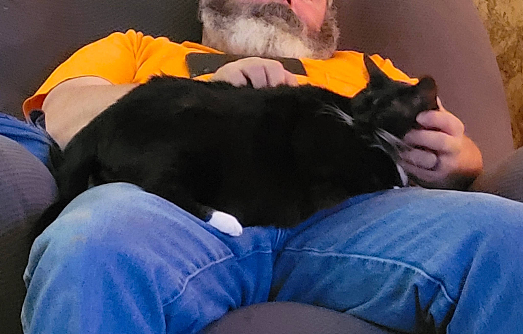 Felix joined the competition — help win amazing prizes! beard, carnivore, comfort, companion_dog, dog, dog_breed, elbow, fun, gesture, hand, human_body, human_leg, interaction, jeans, knee, lap, leg, thigh, trunk, wrist