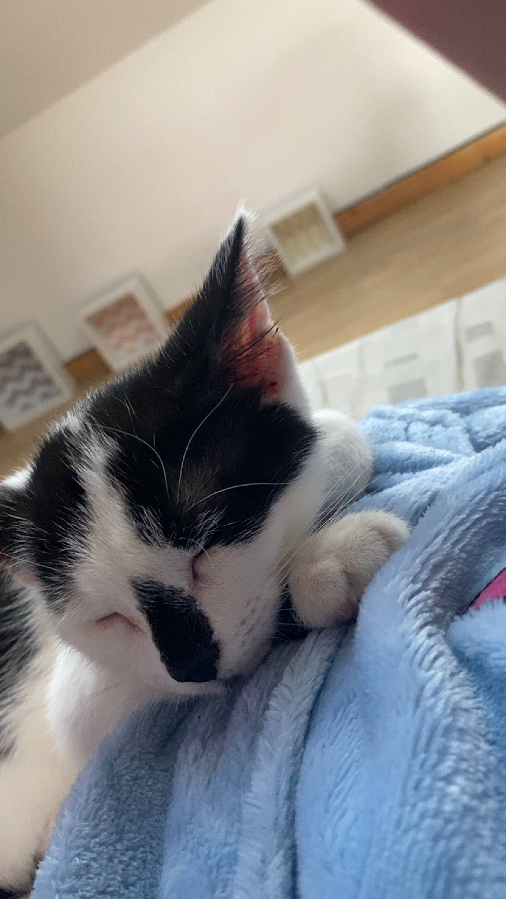 Milo