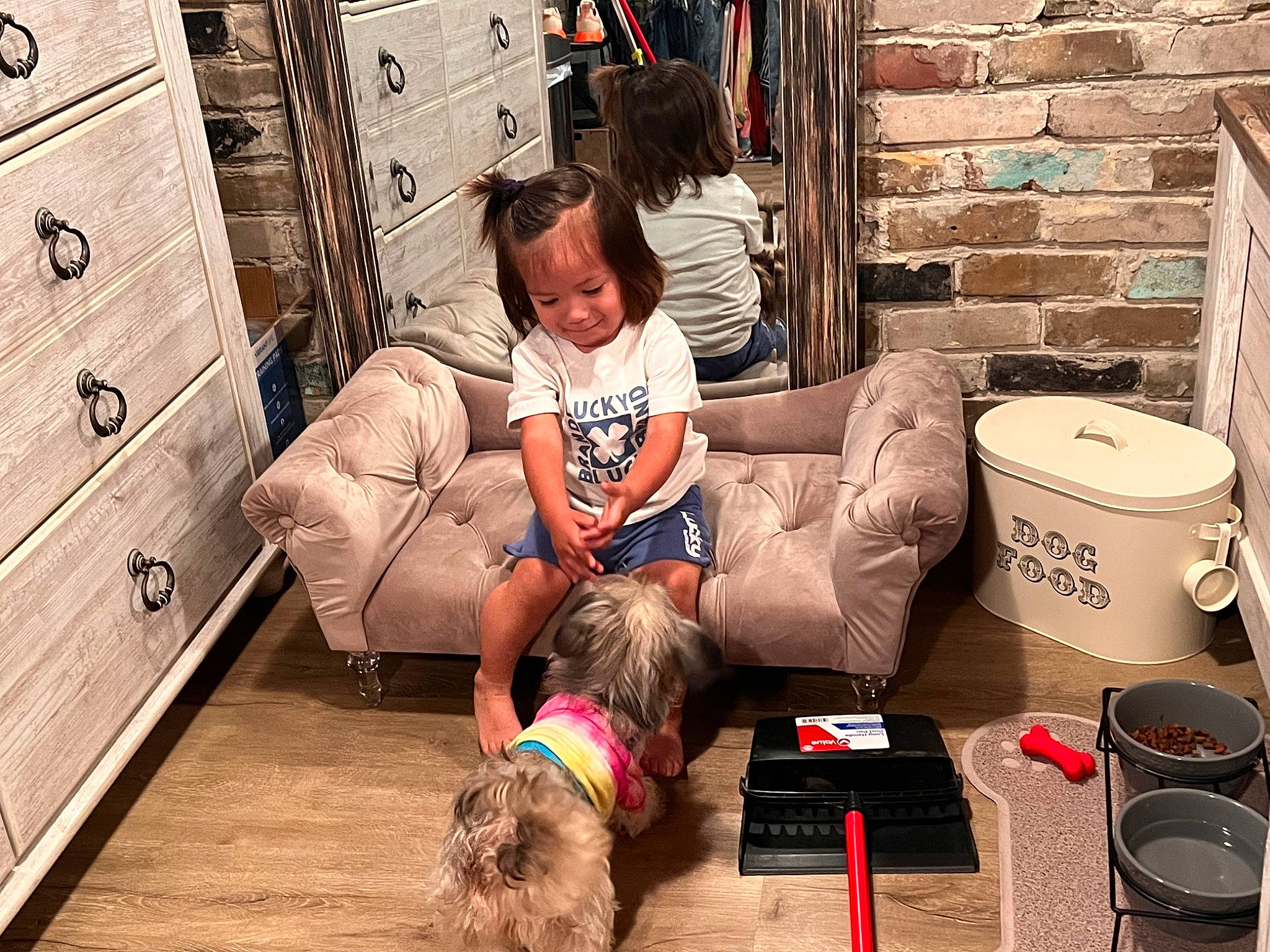 Hezekiah is registered to the contest to win money with this photo: cabinetry, carnivore, comfort, companion_dog, dog, dog_breed, dog_supply, flooring, fur, hardwood, home, liver, living_room, mammal, person, pet_supply, photograph, room, snapshot, toddler
