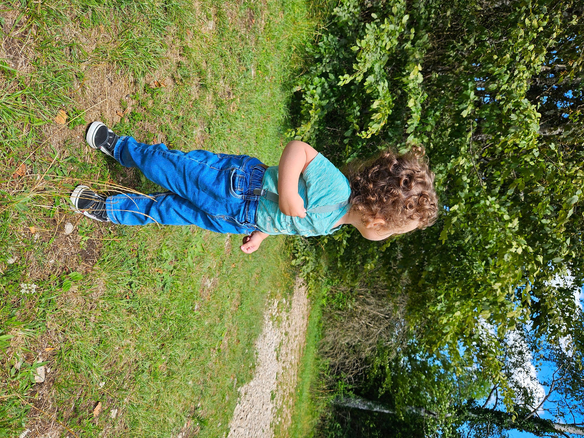 Tyler participe au concours pour gagner de l'argent avec cette photo : child, denim, electric_blue, fun, grass, grassland, groundcover, landscape, lawn, leisure, people_in_nature, person, plant, shrub, soil, t_shirt, toddler, tree, water