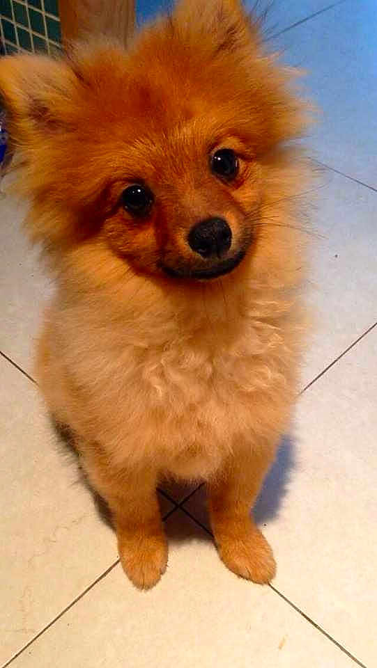 Jack joined the competition — help win amazing prizes!