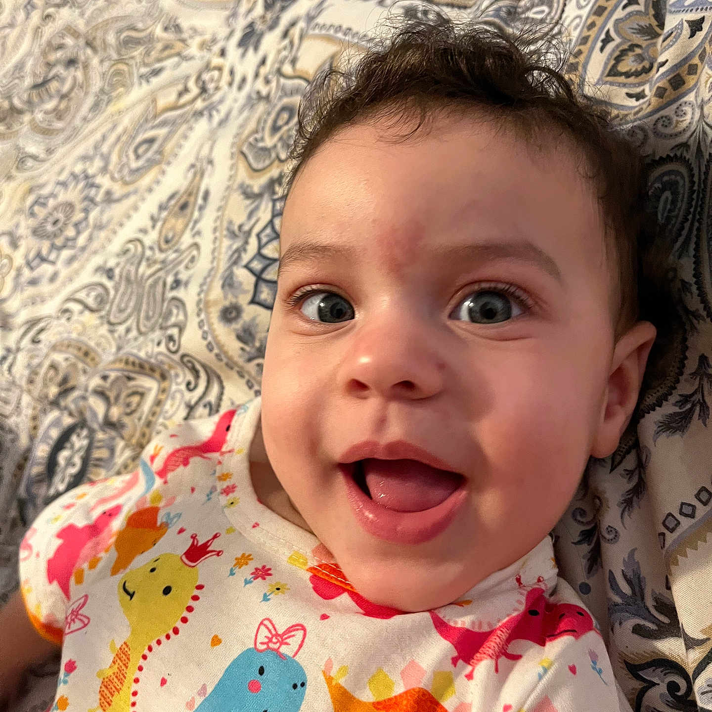 Amelia