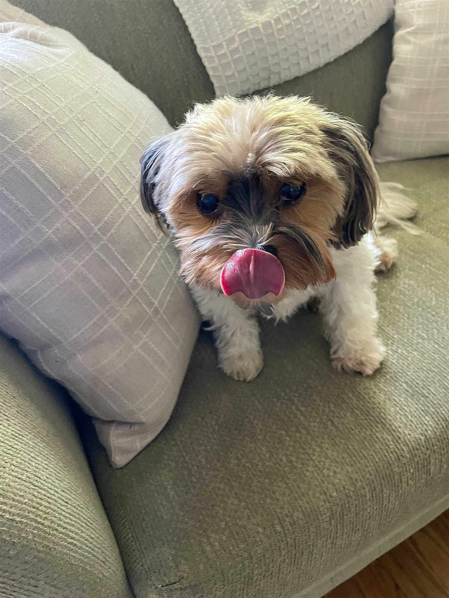 Bentley