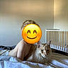 child, cat, bed, blanket, crib, indoor, furniture, smiling_emoji, hair, light, wall, room, relaxing, animal, pet, cute, domestic, fur, portrait, home