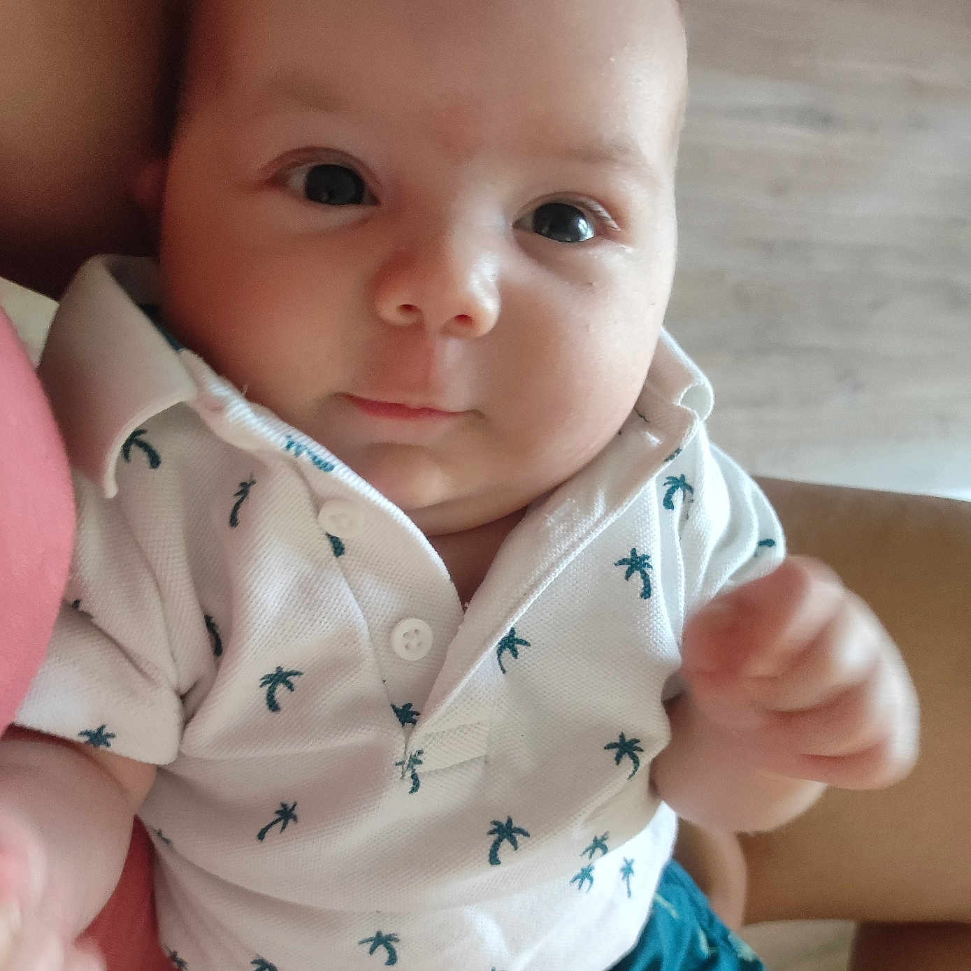 Maël participe au concours pour gagner de l'argent avec cette photo : baby, casual, child, close_up, clothing, cute, expression, eyes, face, floor, hand, holding, indoor, infant, palm_tree_pattern, person, portrait, shirt, shorts, skin