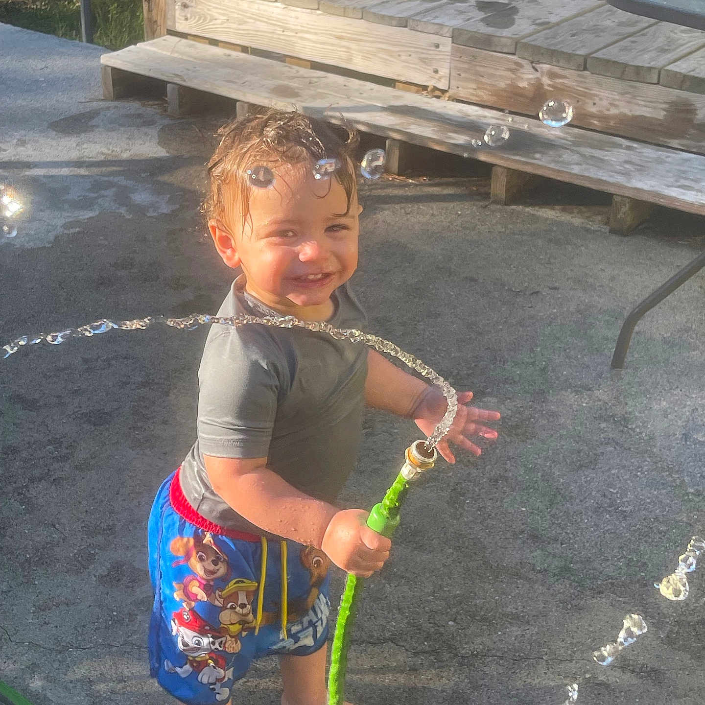 Caiden joined the competition — help win amazing prizes! child, clothing, face, female, footwear, girl, head, hose, nature, outdoors, person, photography, plant, portrait, shoe, shorts, summer, t_shirt, water, yard