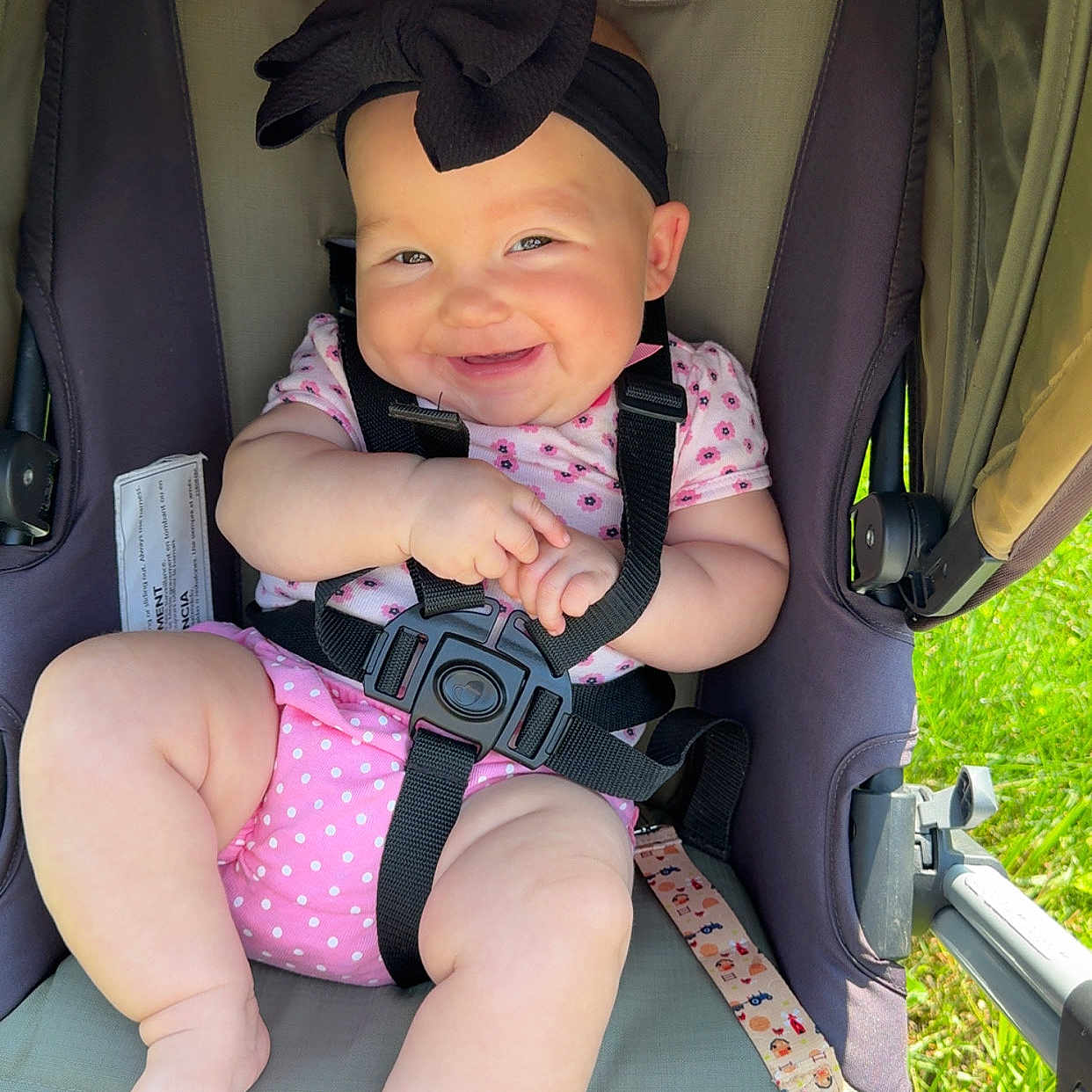 Azucena joined the competition — help win amazing prizes! baby, baby_harness, black_bow, child, chubby_legs, cute, grass, happy, headband, infant, outdoor, person, pink_clothing, polka_dot, portrait, safety_strap, seat, smiling, stroller, sunlight