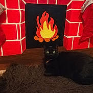 Séraphina a rejoint le concours — aidez-le/la à gagner de superbes lots ! black_cat, cat, faux_fireplace, painted_fireplace, fireplace_art, red_stockings, stockings, holiday_decor, rug, fluffy_rug, indoor, pet, animal, cozy, festive, christmas, decor, home, cute, relaxed