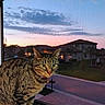 cat, tabby_cat, window, sunset, suburban, house, sky, clouds, evening, outdoor, pets, animal, green_eyes, feline, nature, landscape, residential_area, calm, domestic_cat, windowsill