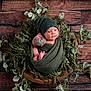Theo is registered to the contest to win money with this photo: newborn, baby, wrapped, green, knit, hat, blanket, nest, cushion, leaves, vines, wooden_floor, portrait, indoors, cute, infant, sleepy, cozy, soft, child