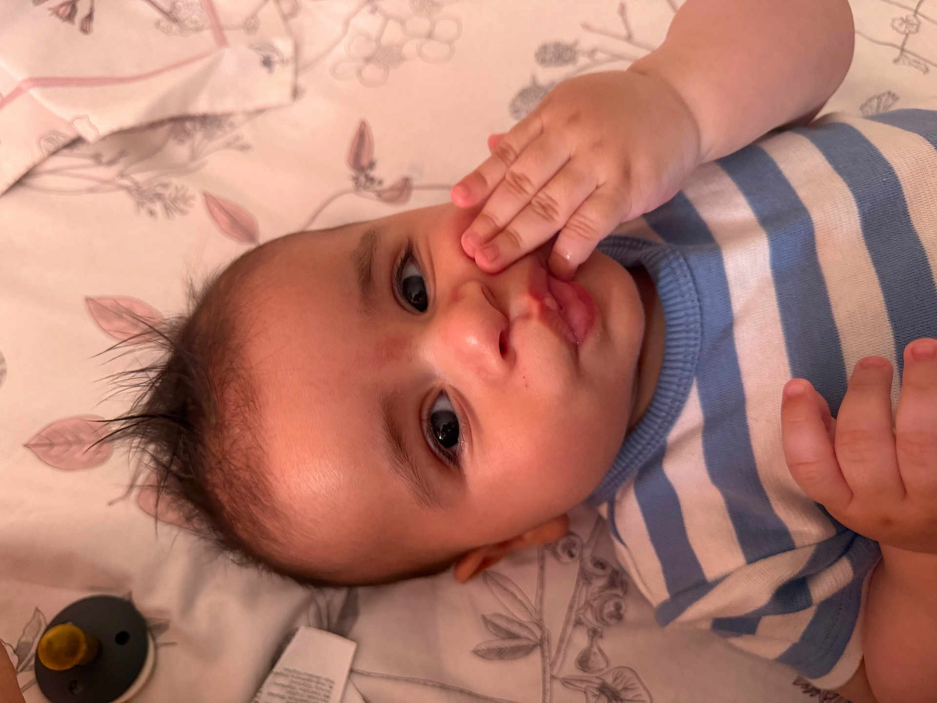Adam participe au concours pour gagner de l'argent avec cette photo : baby, infant, child, face, hand, blue_striped_shirt, lying_down, blanket, pattern, curious, wide_eyes, skin, mouth, nose, hair, cute, indoors, playful, expression, young