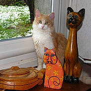 Zizou a rejoint le concours — aidez-le/la à gagner de superbes lots !