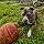 Zoey