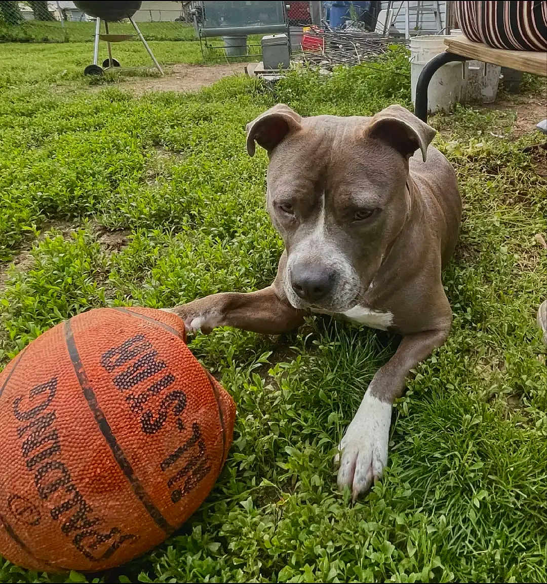 Zoey