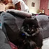 black_dog, blanket, child, couch, decor, dog, fluffy, furniture, hair, household, indoor, living_room, person, pet, pillow, sofa, table, tattoo, wall_art, white_shirt