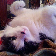 Roumain a rejoint le concours — aidez-le/la à gagner de superbes lots !