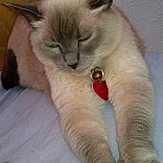 Roumain a rejoint le concours — aidez-le/la à gagner de superbes lots !