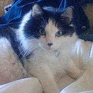 Roumain a rejoint le concours — aidez-le/la à gagner de superbes lots !