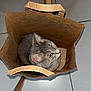cat, paper_bag, indoor, floor, tile, curious, gray_cat, pet, animal, feline, whiskers, ears, sitting, looking_up, household, chair_leg, texture, flash_lighting, cozy, domestic