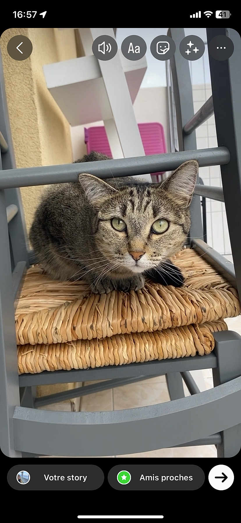 Nala