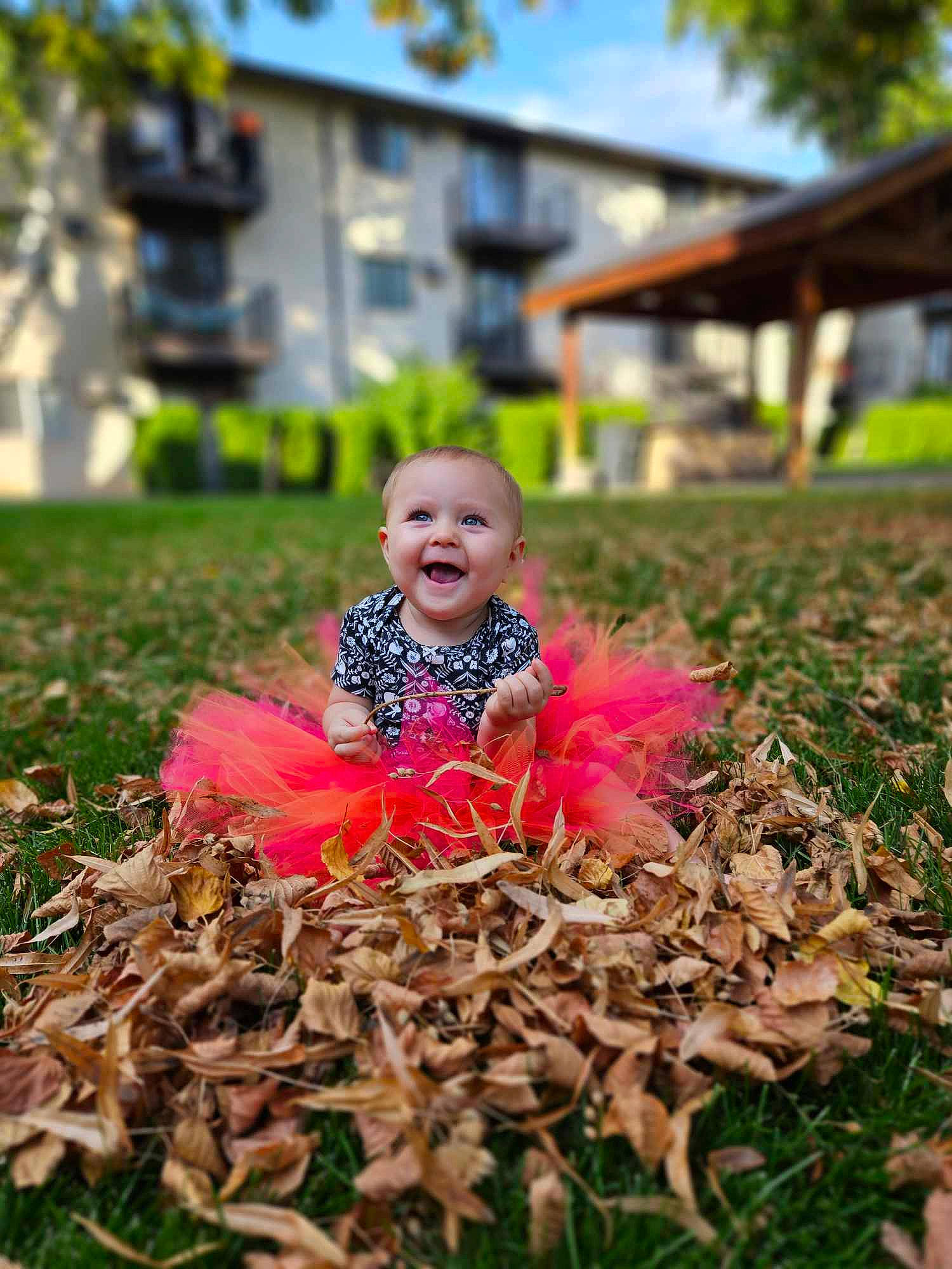Raynell joined the competition — help win amazing prizes! child, deciduous, fun, grass, grass_family, happy, joy, leaf, leisure, magenta, nature, people_in_nature, person, plant, pumpkin, sitting, sky, smile, soil, toddler